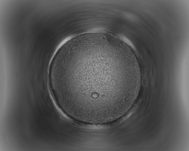 X0000086101087200703301209