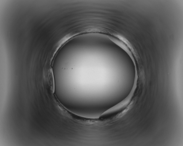 X0000086101089200703301209