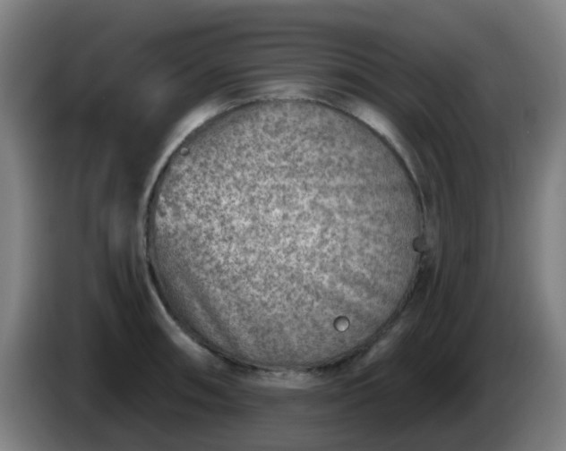 X0000086101090200703301209