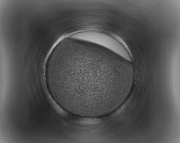 X0000086101091200703301209