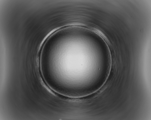 X0000086101092200703301209