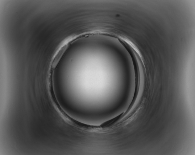 X0000086101093200703301209