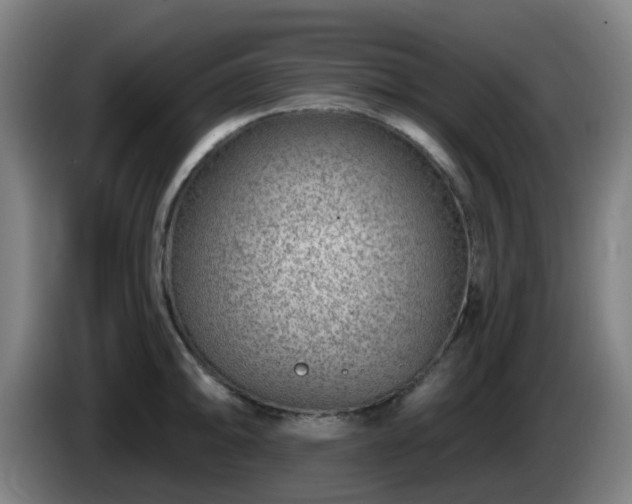X0000086101094200703301209