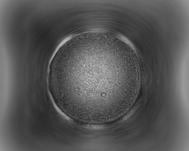 X0000086101095200703301209