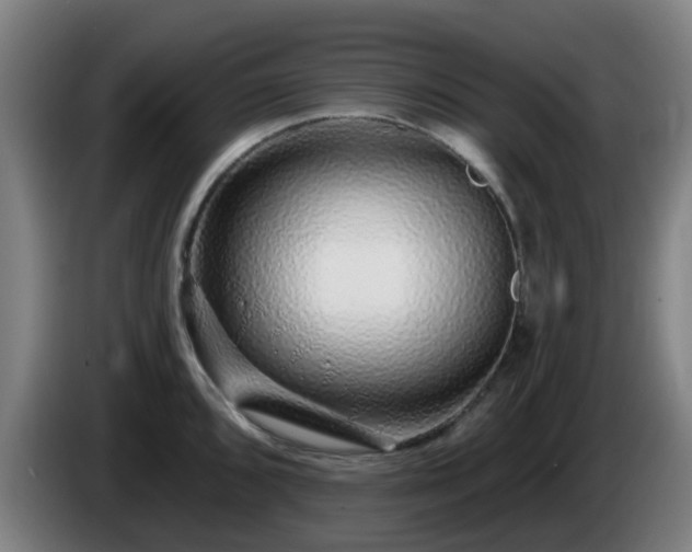 X0000086101096200703301209