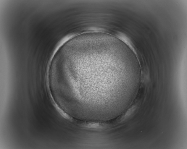 X0000086101098200703301209