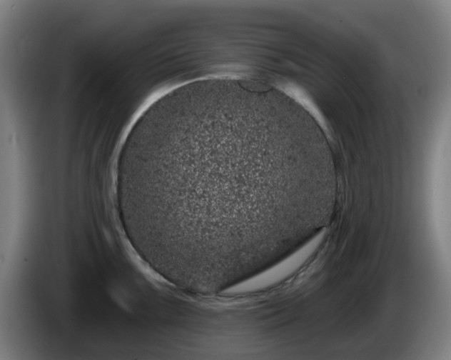 X0000086101099200703301209