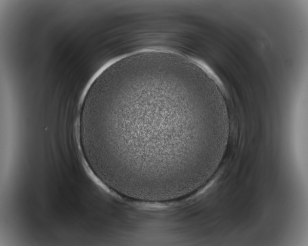 X0000086101100200703301209