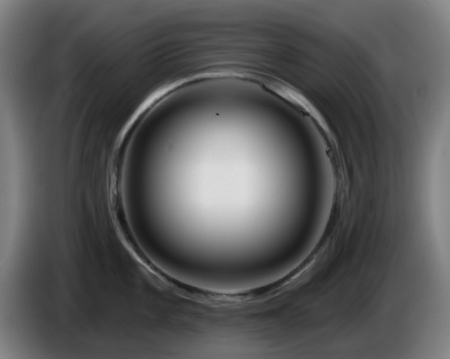 X0000086101101200703301209