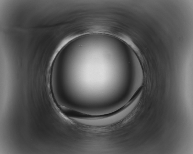 X0000086101102200703301209
