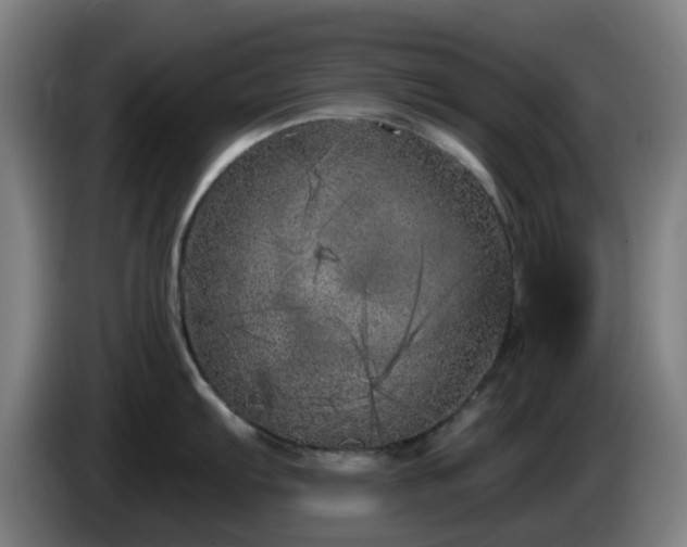 X0000086101103200703301209