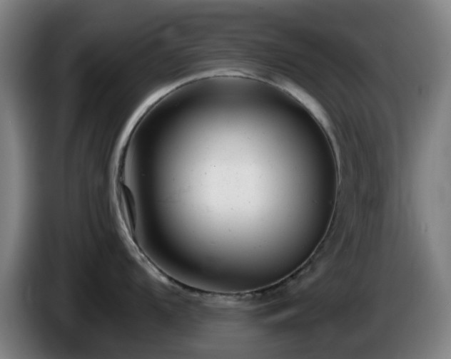 X0000086101104200703301209