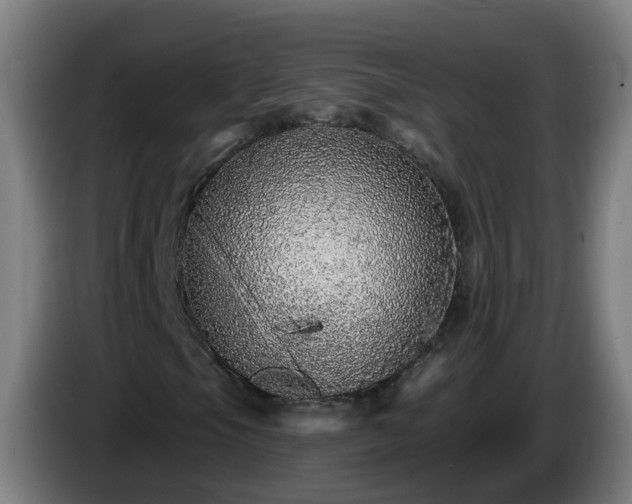 X0000086101105200703301208