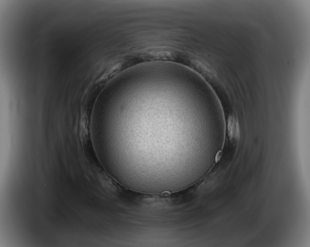 X0000086101107200703301208