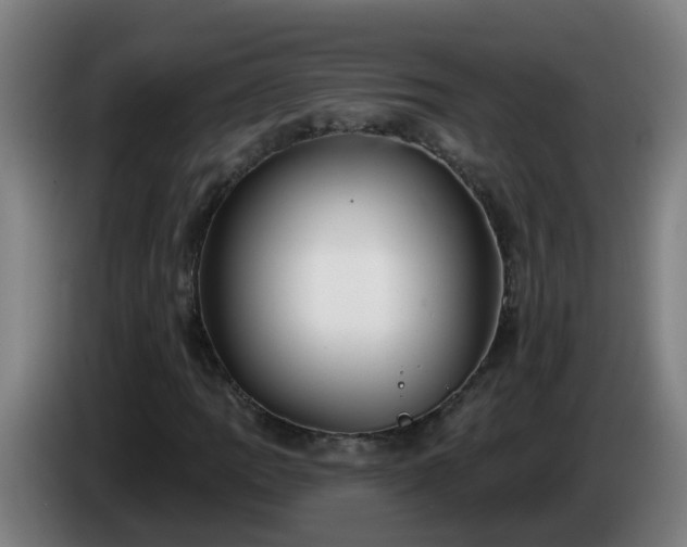 X0000086101109200703301208