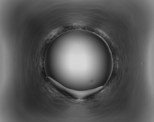 X0000086101110200703301208