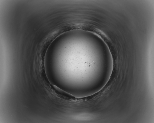 X0000086101111200703301208