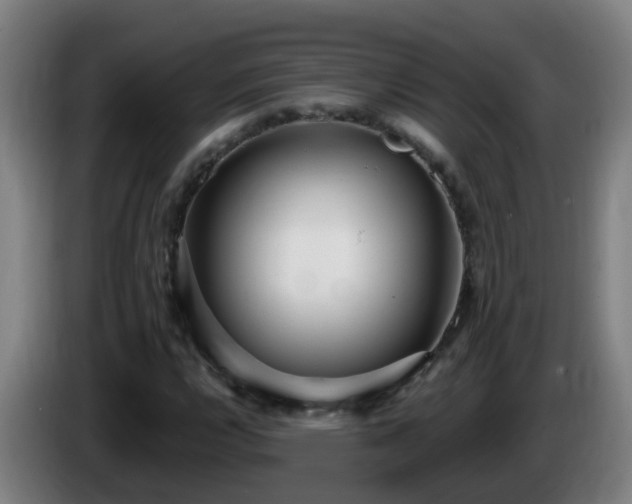 X0000086101112200703301208