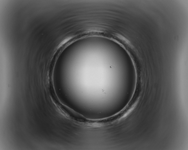 X0000086101113200703301208