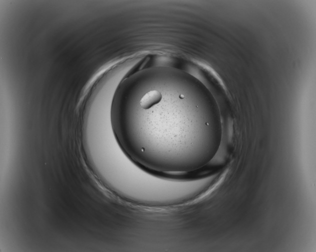 X0000086101114200703301208