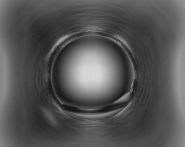 X0000086101115200703301208