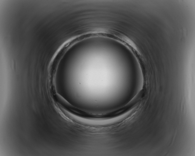 X0000086101116200703301209