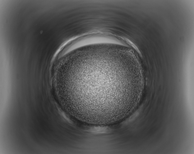 X0000086101117200703301209