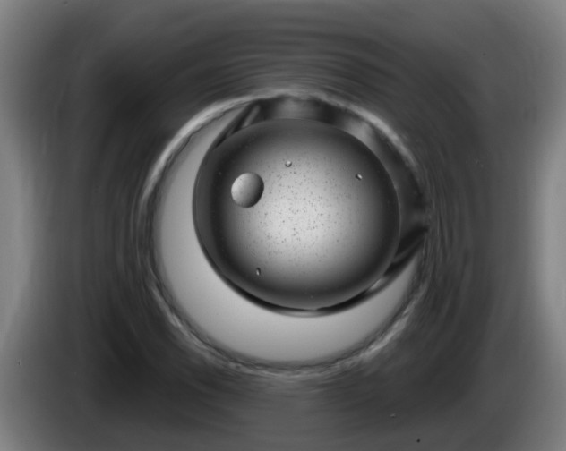 X0000086101118200703301209