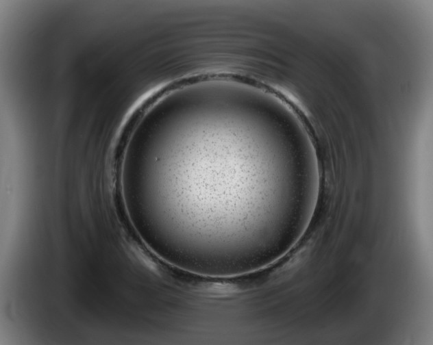 X0000086101119200703301209