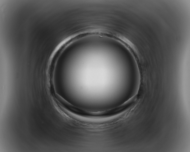 X0000086101120200703301209