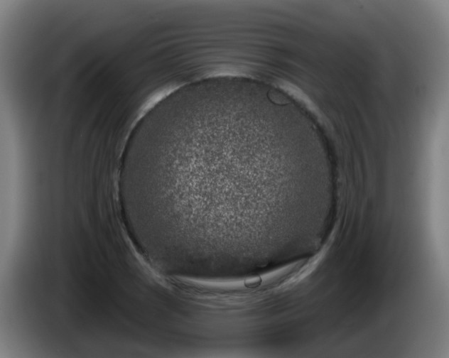 X0000086101121200703301209