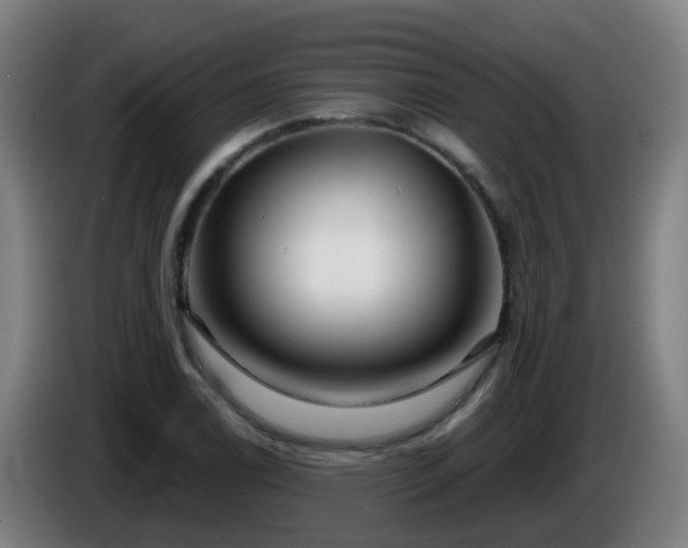 X0000086101122200703301209