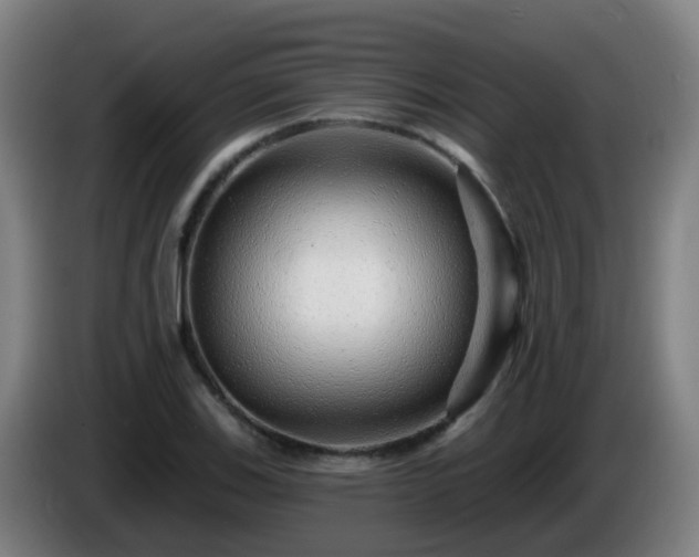 X0000086101123200703301209