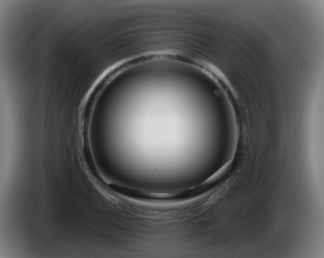 X0000086101124200703301209