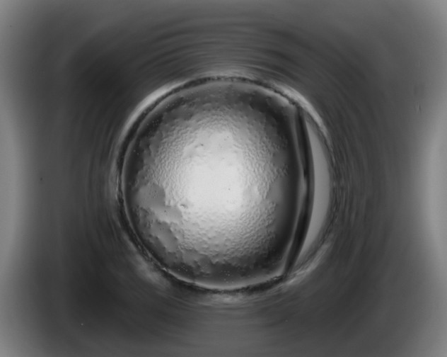 X0000086101125200703301209