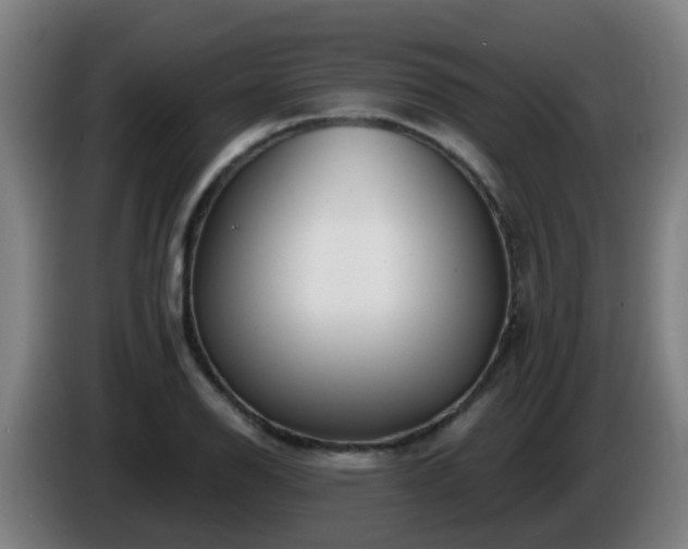X0000086101126200703301209
