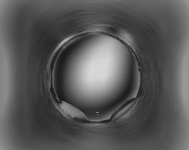 X0000086101127200703301209