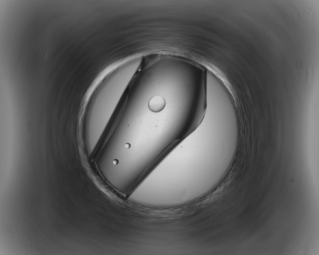 X0000086101128200703301209