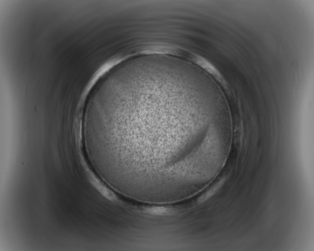 X0000086101130200703301209