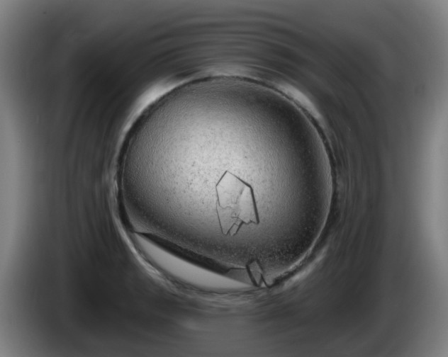X0000086101133200703301209