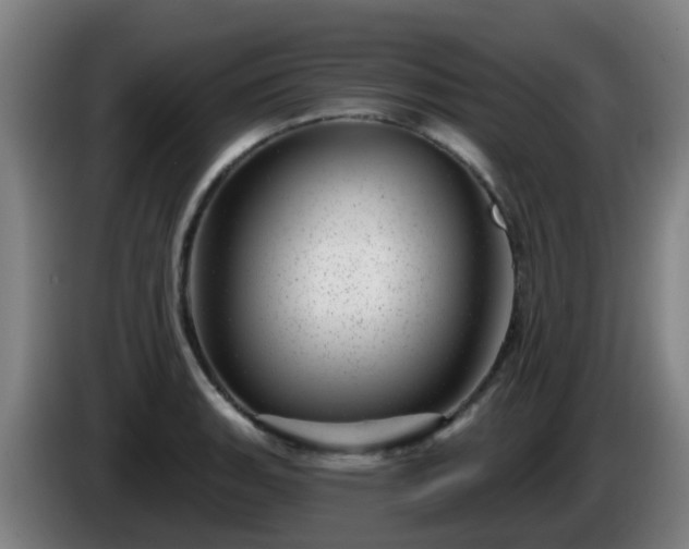 X0000086101135200703301209