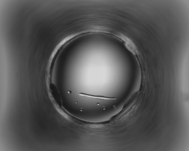 X0000086101136200703301209