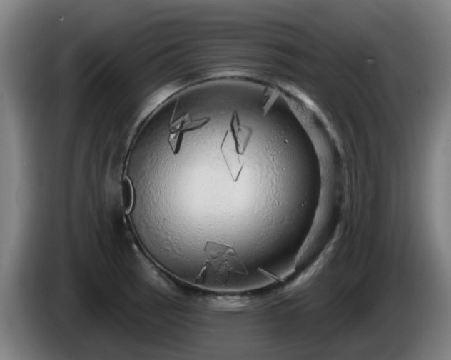 X0000086101137200703301209