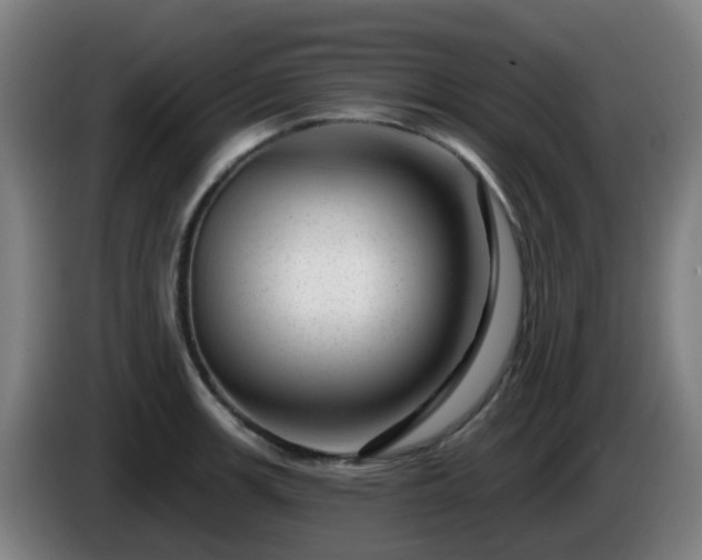 X0000086101139200703301209