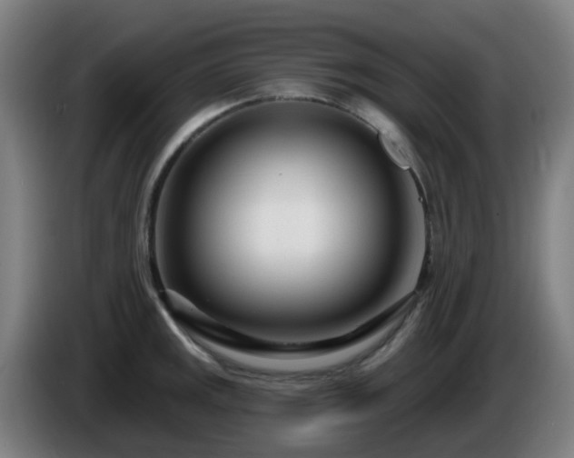 X0000086101141200703301209