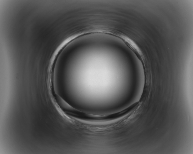 X0000086101144200703301209
