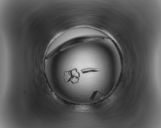 X0000086101145200703301209