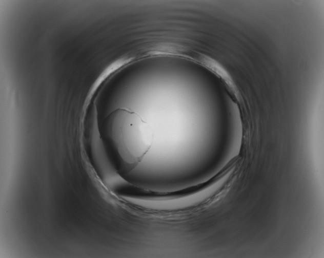 X0000086101146200703301209