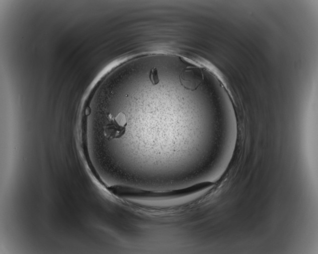 X0000086101147200703301209