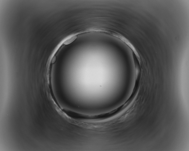 X0000086101148200703301209